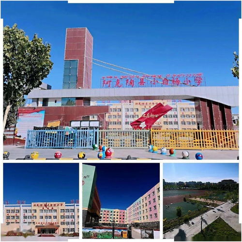 安义县分公司向新疆阿克陶县小白杨小学捐赠优质图书及文化用品